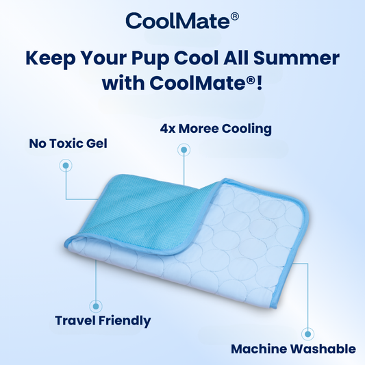 CoolMate® Pet Cooling Mat