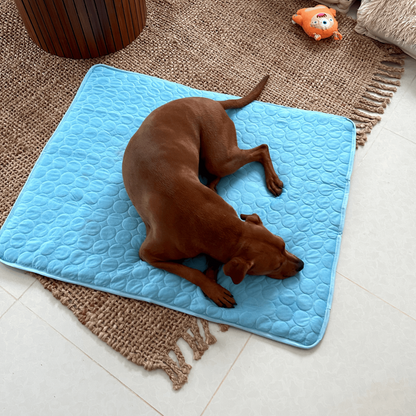 CoolMate® Pet Cooling Mat